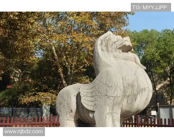 姚明探访历史古迹感受文化底蕴与时代变迁的深刻体验